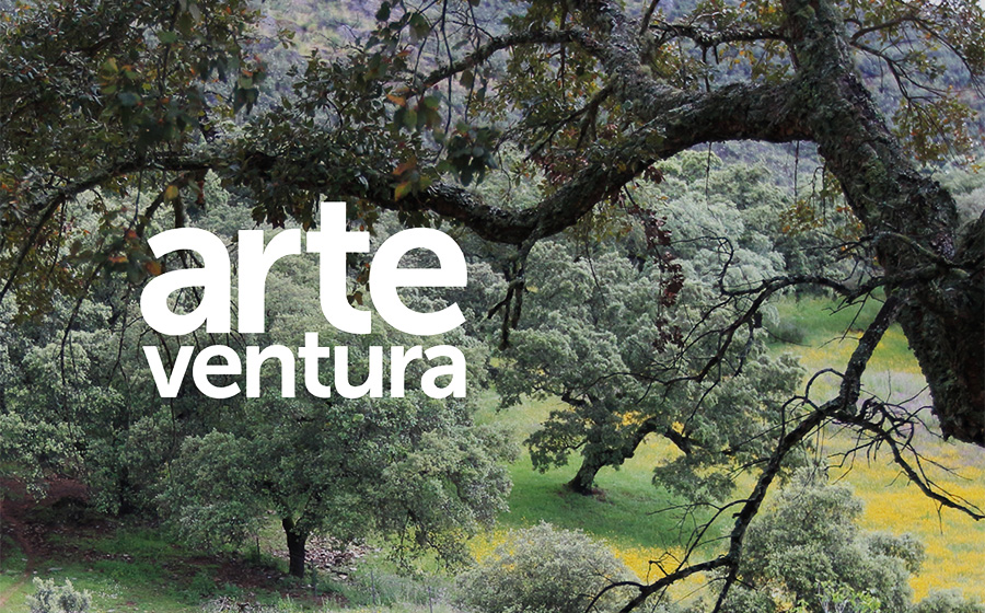 Arteventura