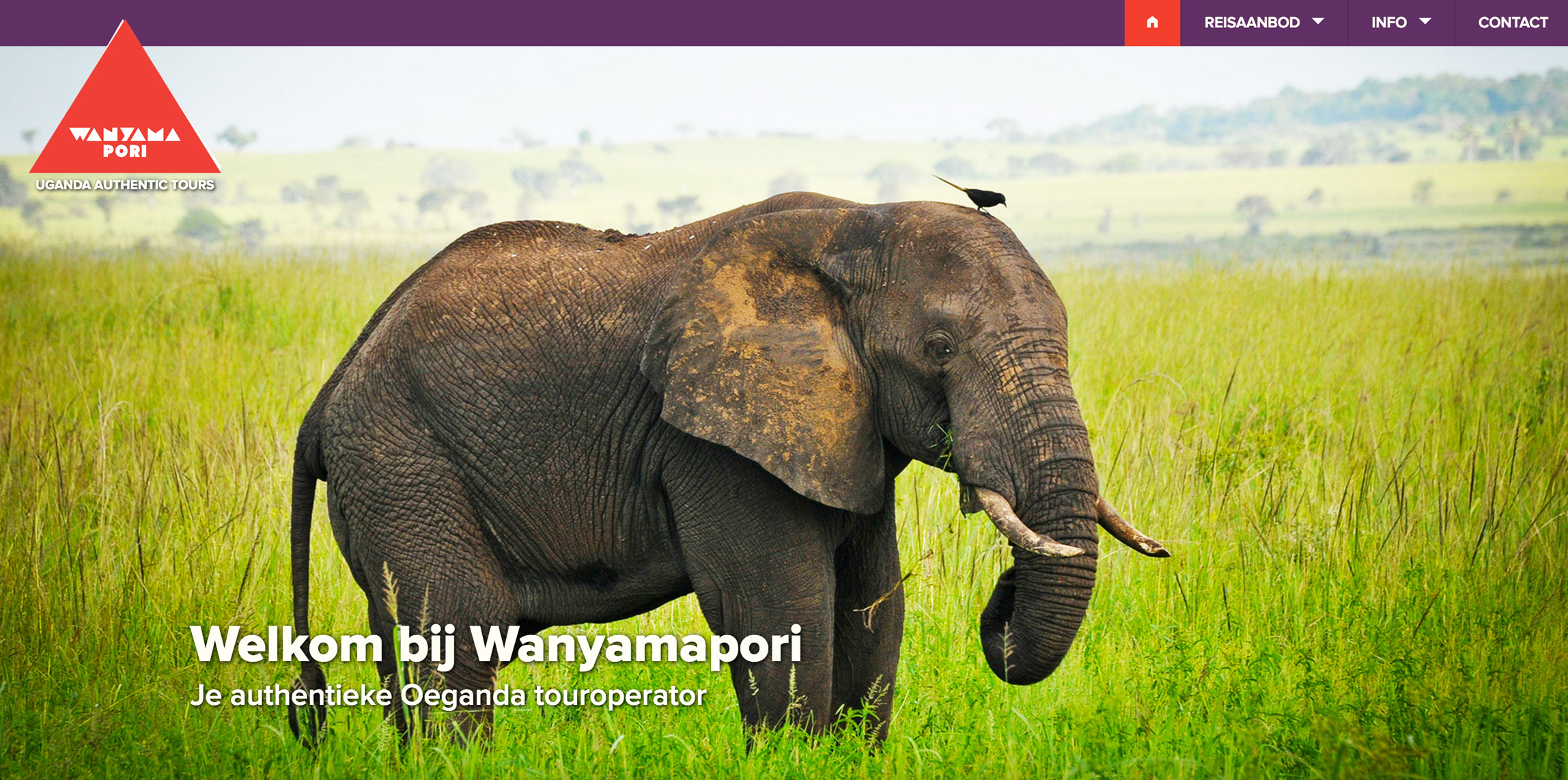 Wanyamapori